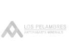 Los Pelambres